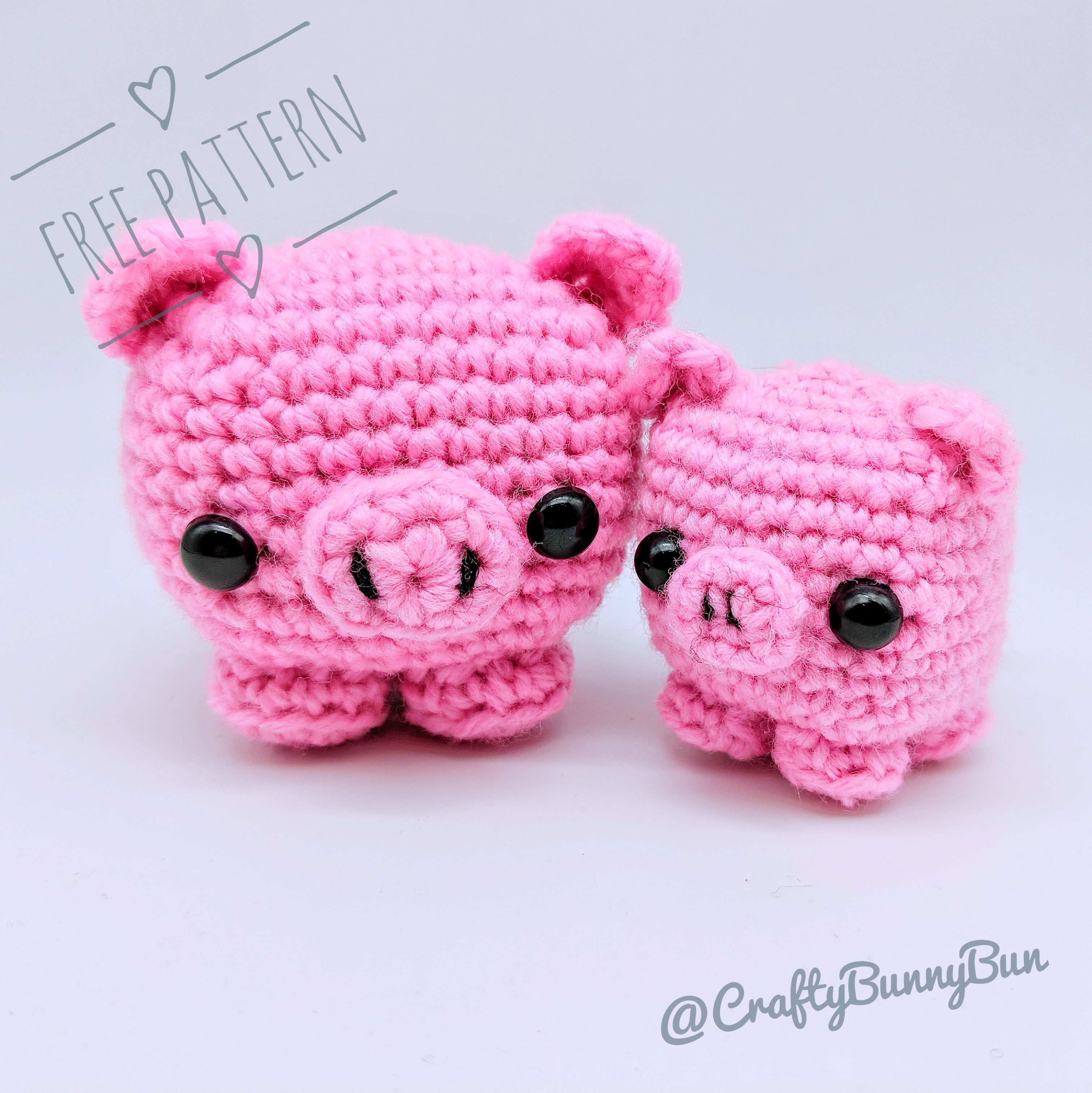 Cube Piggy Pig